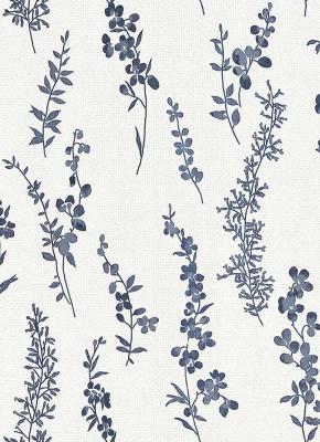 Фото Erismann Darling 6482-08