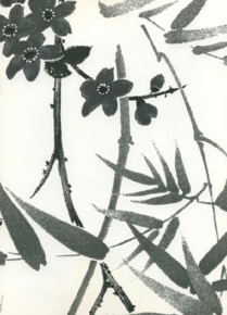 Фото Sandudd Rolleri 5 4864-2