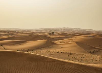 Фото Rasch B.B Home passion 6 862430