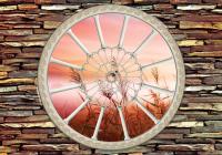 Поле за окном