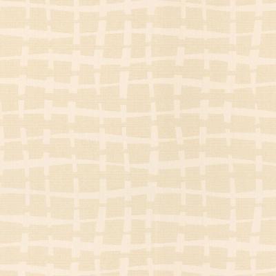 Фото Marburg Padua 56107