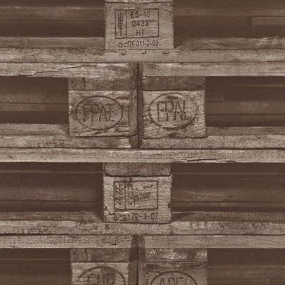 Фото Rasch Crispy Paper 524109