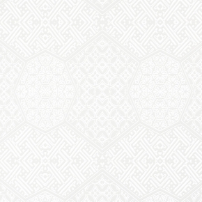 Фото BN International Impulse 48320