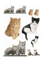 Komar 17010h (Kitty)