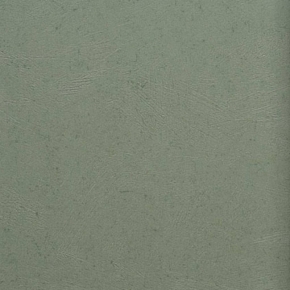 Фото BN International Authentique 45736