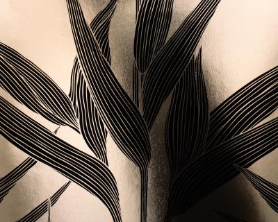 Фото A.S.Creation Chroma 176523