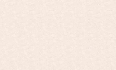 Фото Rasch Maximum XI 926231