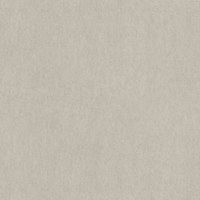 Фото BN International Bont 46888