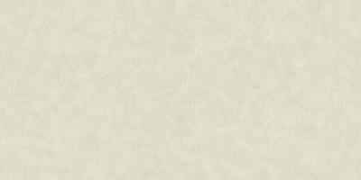 Фото A.S.Creation Speranza 956442