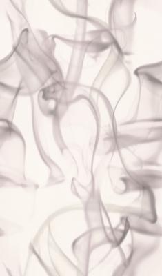 Фото Rasch Trendspots Vol. 2 897104