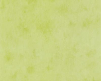 Фото A.S.Creation Boys and Girls 3 688866