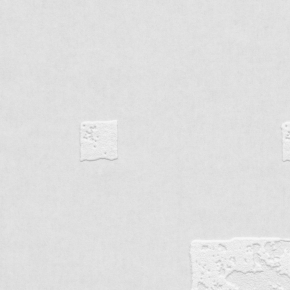 Фото Marburg Patent Decor 1882