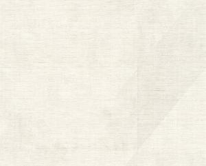 Фото A.S.Creation Djooz 2 35877-3