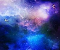 Красивые бабочки в небе