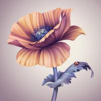 Божья коровка на цветке