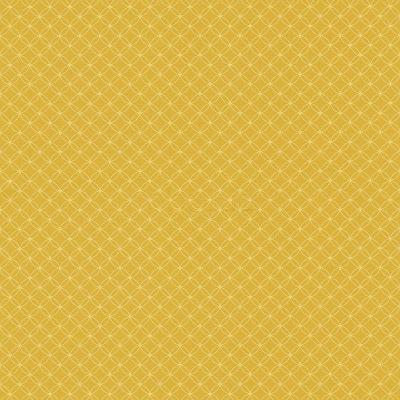 Фото Rasch Sightseeing 701746