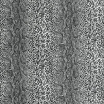 Фото Rasch African Queen 2014 423150