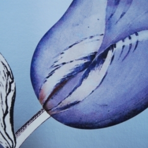 Фото Marburg Ulf Moritz Charisma 78784