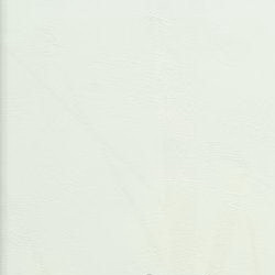 Фото BN International Authentique 45766