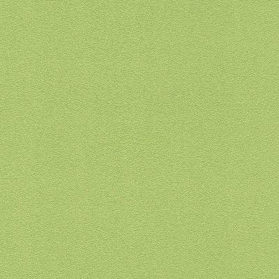 Фото Rasch Prego 2 2019 740165