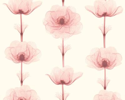 Фото A.S.Creation X-Ray 34273-3