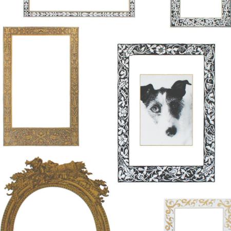 Komar 19711h (Frames)