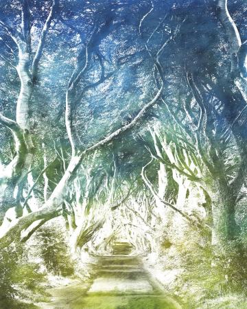 Komar 6024A-VD2 (Alley)