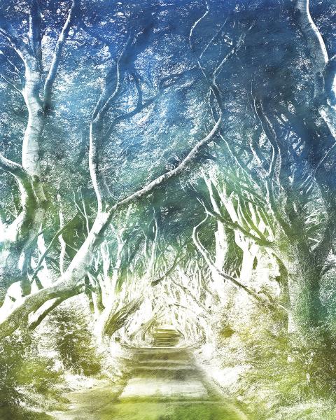 Komar 6024A-VD2 (Alley)