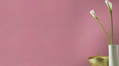 Фото – обои Rasch Freundin III 464061 || Rasch Freundin III 464061