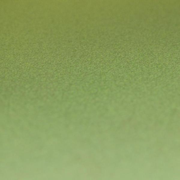 Фото Rasch Prego 2 2019 740165