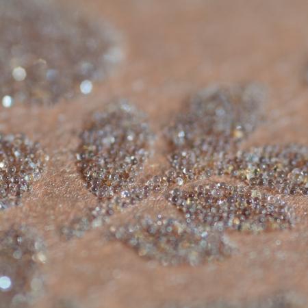 Фото – обои P+S International Deluxe by GMK 41005-30 || P+S International Deluxe by GMK 41005-30