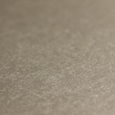 Фото – обои Rasch Emilia 501179 || Rasch Emilia 501179