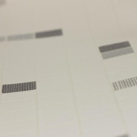 Фото – обои A.S.Creation Simply Decor 6077-44 || A.S.Creation Simply Decor 6077-44