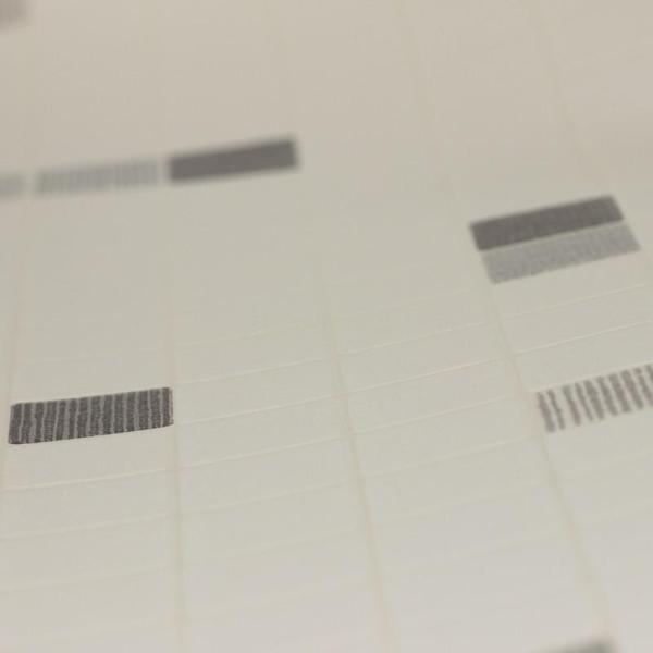 Фото A.S.Creation Simply Decor 6077-44