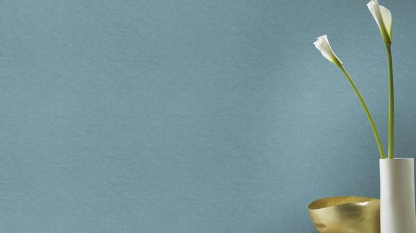 Фото Rasch Freundin III 464078