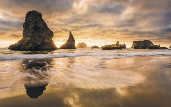 Komar SH053-VD4 (Golden Stacks)