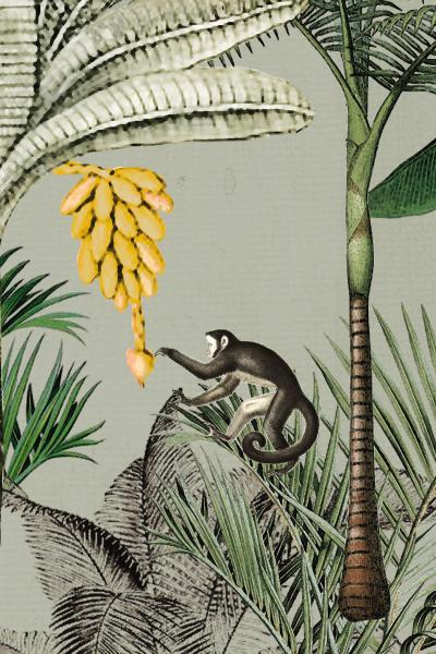 Фото Rasch Club Botanique 539196