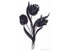 Komar 19007 (Черные тюльпаны)