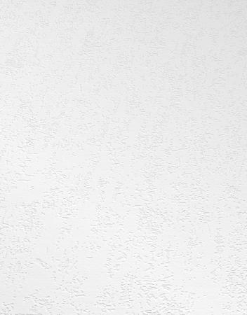 Фото – обои Erismann RollOver 5397-01 (5397-10) || Erismann RollOver 5397-01 (5397-10)