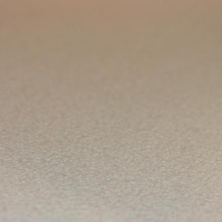 Rasch Prego 2 2019 489552