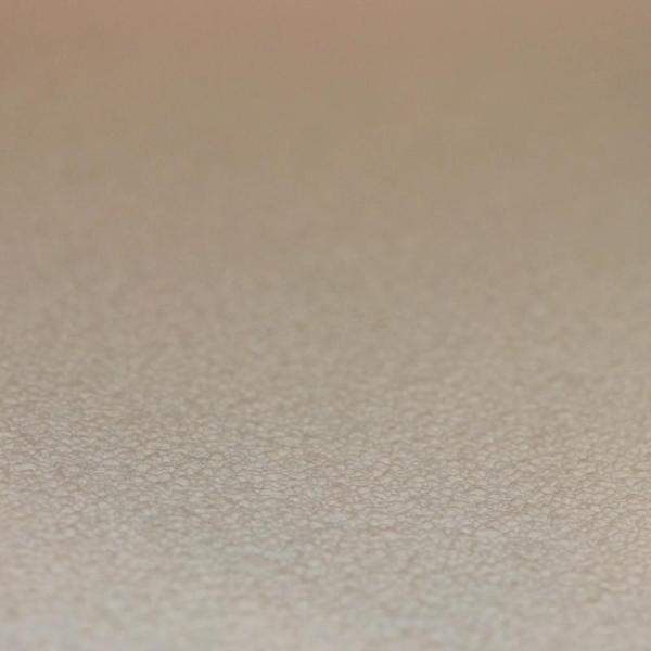 Фото Rasch Prego 2 2019 489552