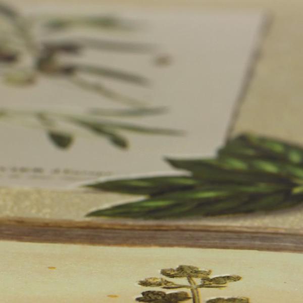 Фото Rasch Deco Relief 307214