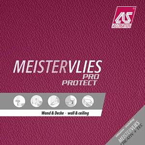 Meistervlies 4