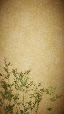 Фото – обои Rasch Linares 617177 || Rasch Linares 617177