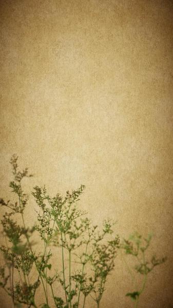 Фото Rasch Linares 617177