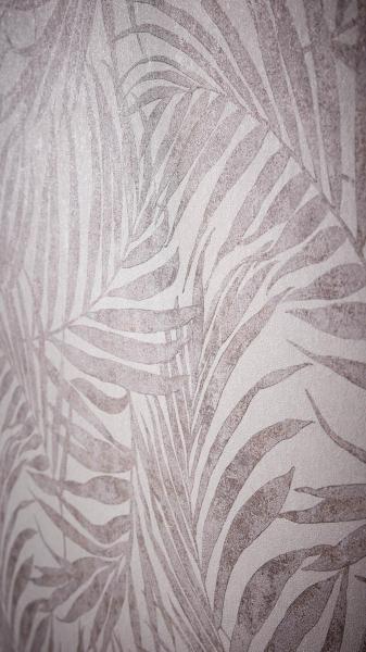 Фото Rasch Linares 617436