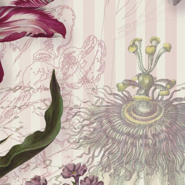 Komar 8-510 (Merian)