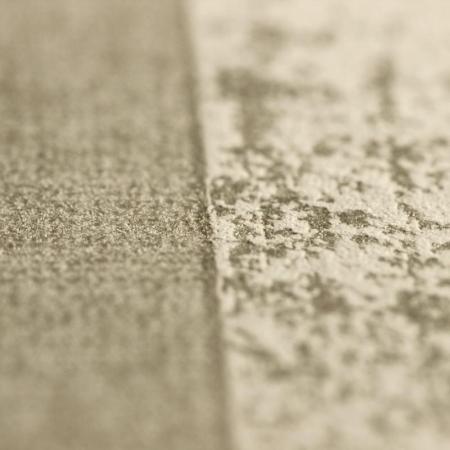 Фото – обои Rasch Emilia 502220 || Rasch Emilia 502220