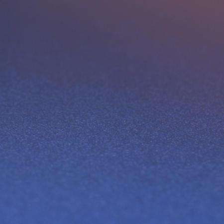 Rasch Prego 2 2019 469097