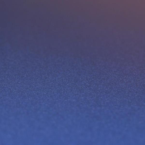 Фото Rasch Prego 2 2019 469097